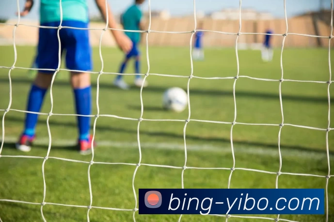 亿博体育APP 高清赛事图