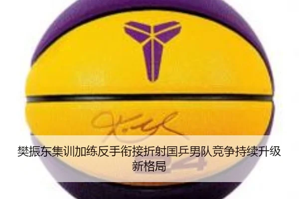 樊振东集训加练反手衔接折射国乒男队竞争持续升级新格局